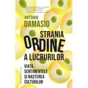 Strania ordine a lucrurilor. Viata, sentimentele si nasterea culturilor de Antonio Damasio