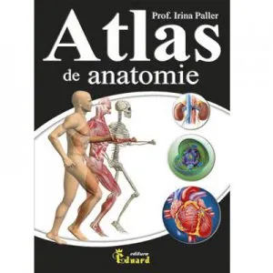 Atlas de anatomie
