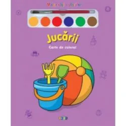 Miracolul culorilor. Jucarii