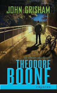Theodore Boone: Rapirea
