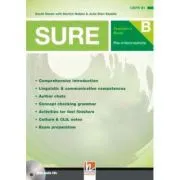 Sure pre-Intermediate Teacher's book B de Martyn Hobbs