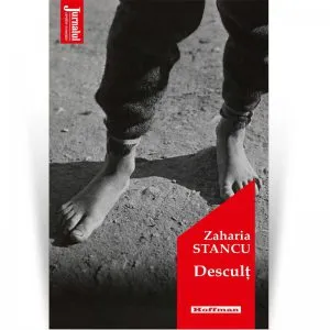 Descult de Zaharia Stancu