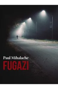 Fugazi de Paul Mihalache