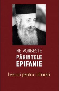 Ne vorbeste parintele Epifanie Vol. 2