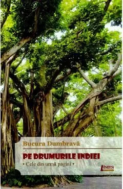 Pe drumurile Indiei. Cele din urma pagini de Bucura Dumbrava