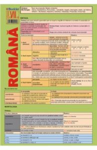 Plansa Limba romana clasa 7