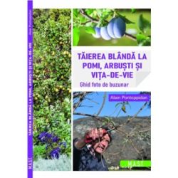 Taierea blanda la pomi, arbusti si vita-de-vie