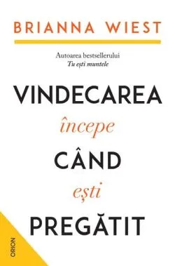 Vindecarea începe când ești pregătit de Brianna Wiest