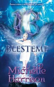 13 blesteme. Partea a doua a seriei Fantasy 13 comori