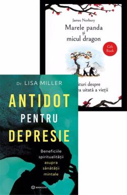 Antidot pentru depresie   Marele panda si micul dragon