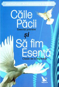 Caile pacii si sa fim esenta