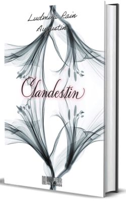 Clandestin