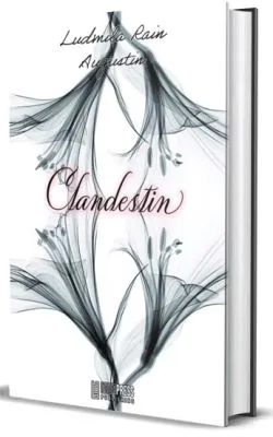 Clandestin de Ludmila Rain Augustin