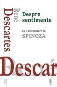 Despre sentimente