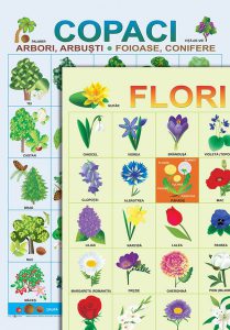 Planșe - Copaci și flori