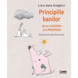 Principiile banilor