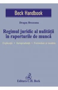 Regimul juridic al nulitatii in raporturile de munca de Dragos Brezeanu