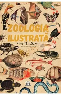 Zoologia ilustrata de Maria Carmen Soria