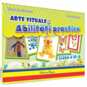 Arte vizuale si abilitati practice, clasa a III-a