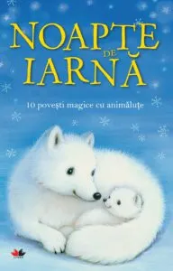 Noapte de iarna