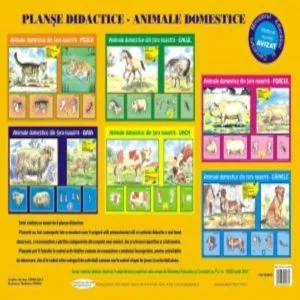 Planse didactice - Animale domestice