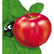 Marul. Colectia Primii pasi
