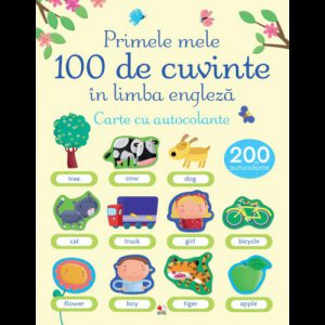 Primele mele 100 de cuvinte in limba engleza