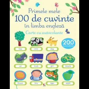 Primele mele 100 de cuvinte in limba engleza