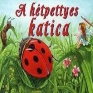 A hetpettyes katica