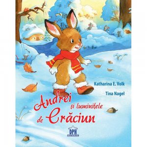 Andrei si luminitele de craciun