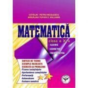 Culegere de exercitii. Matematica, Clasa a 10-a. Sinteze si teorie. Algebra, Geometrie-Trigonometrie