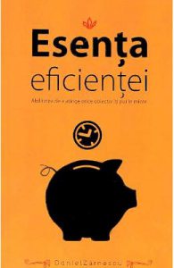 Esenta eficientei