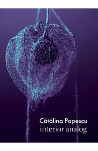 Interior analog de Catalina Popescu