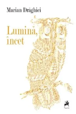 Lumină, încet de Marian Draghici