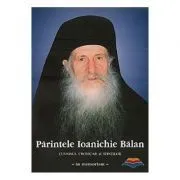Parintele Ioanichie Balan. Cuviosul cronicar al sfintilor de Parintele Ioanichie Balan