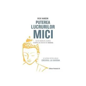 Puterea lucrurilor mici. 52 de exerciții zilnice pentru un creier de Buddha de Dr. Rick Hanson