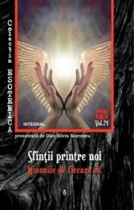 Sfintii printre noi. Minunile de fiecare zi de Dan Silviu Boerescu