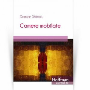 Camere mobilate