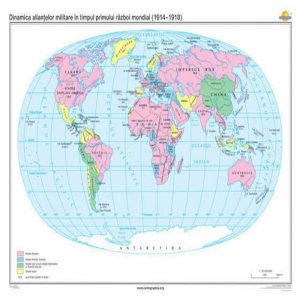 Dinamica aliantelor militare in timpul primului razboi mondial (1914-1918)