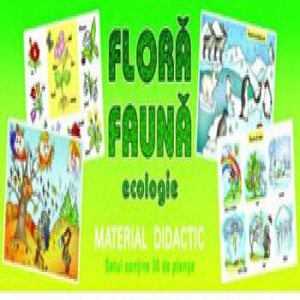 Flora. Fauna. Ecologie. Material Didactic