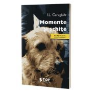 Momente si schite