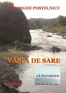 Vasla de sare