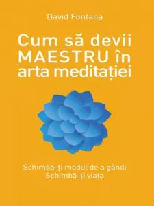 Cum sa devii maestru de David Fontanavol