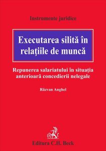 Executarea silită în relaţiile de muncă