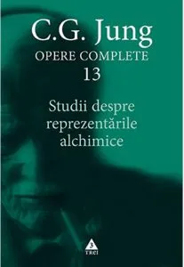 Studii despre reprezentarile alchimice