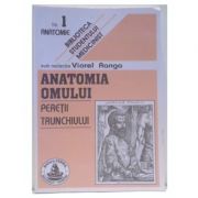 Anatomia omului. Peretii trunchiului. 1