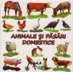Animale și păsări domestice