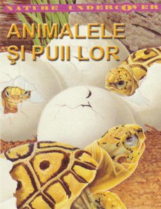 Animalele si puii lor