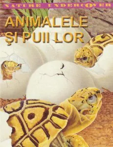 Animalele si puii lor de Beatrice McLeod