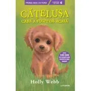 Catelusa care a fugit de acasa (Nivelul 6) de Holly Webb